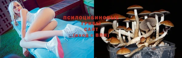 мяу мяу мука Абинск
