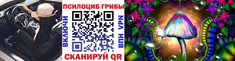 Псилоцибиновые грибы Psilocybe  сколько стоит  Фрязино 