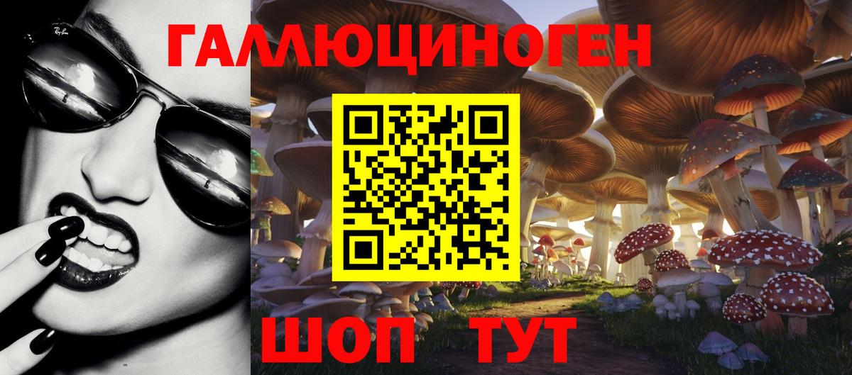 Галлюциногенные грибы мухоморы  Галлюциногенные грибы GOLDEN TEACHER  Фрязино  Вход с VPN 